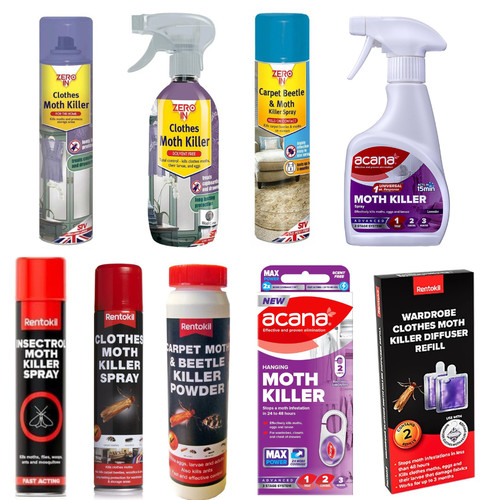 Wardrobe carpet moth - wardrobe,